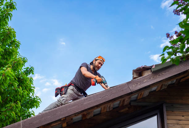 Best Roof Moss and Algae Removal  in Zimmerman, MN