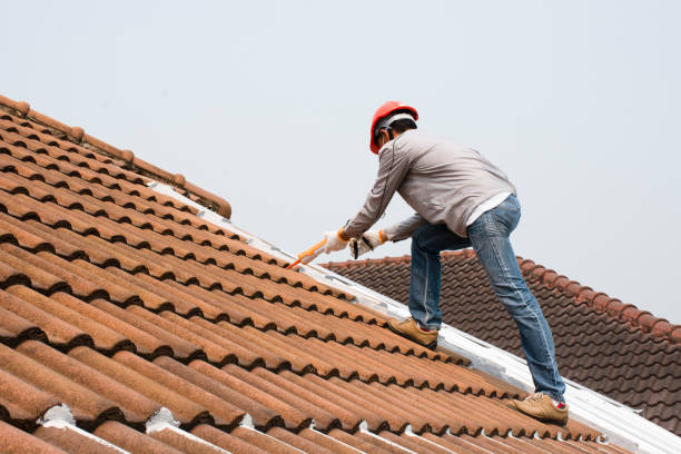 Best Roof Leak Repair  in Zimmerman, MN