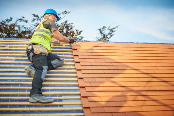 Best Roof Coating and Sealing  in Zimmerman, MN